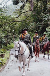 Carabineros de la Policía de Santa Marta realizaron patrullaje a caballo en el corregimiento de Minca